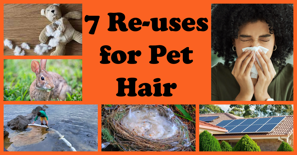 7 Thoughtful Reuses for Pet Hair Uncanny Animals