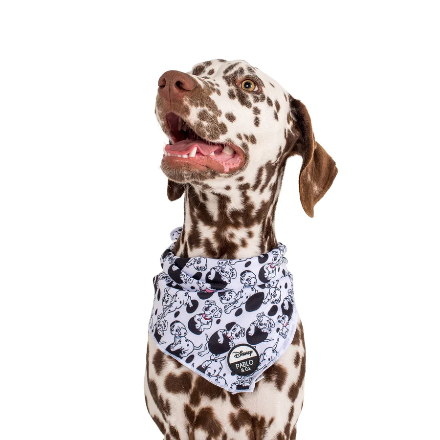 Dalmatian bandana store