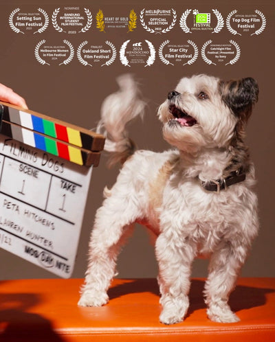 Filming Dogs - Short Documentary