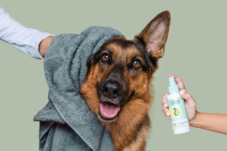 Soft Pear Dog Cologne