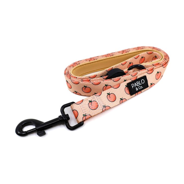 Peaches & Cream Dog Leash