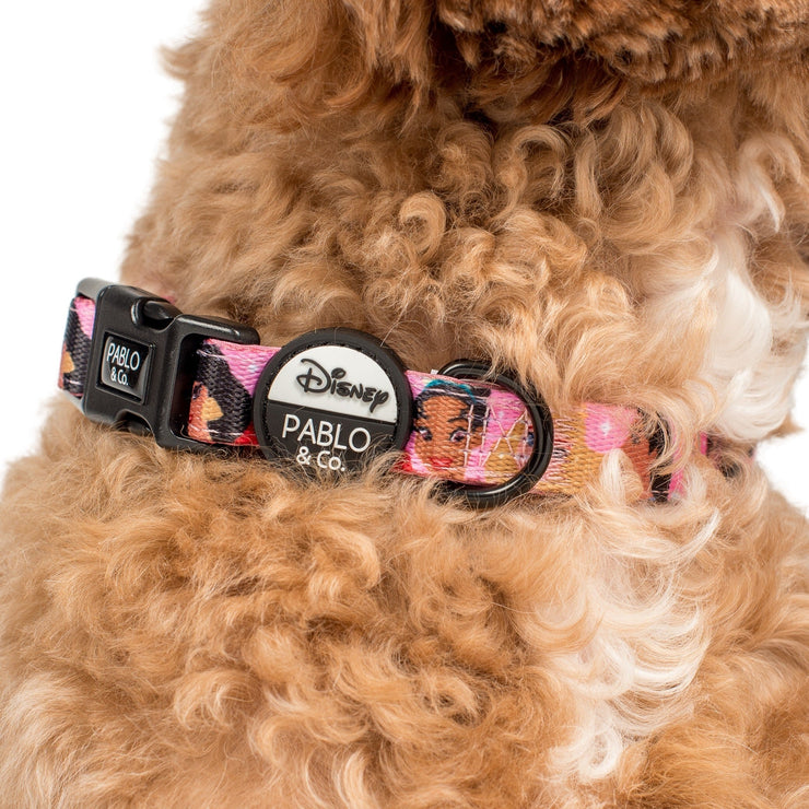 Disney Princesses Dog Collar