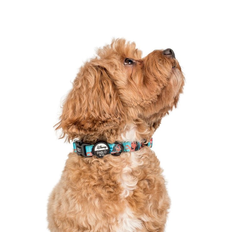 Moana Dog COllar