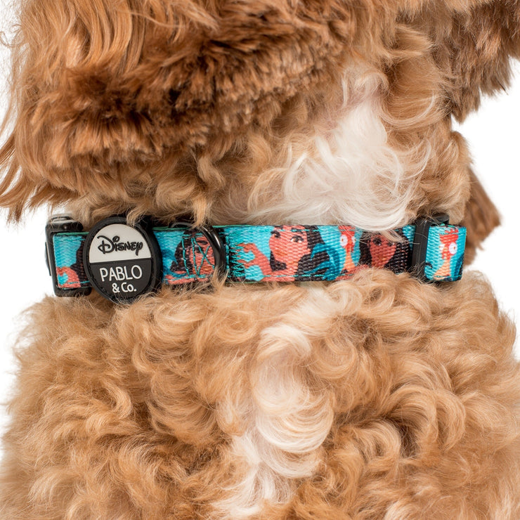 Moana Dog COllar