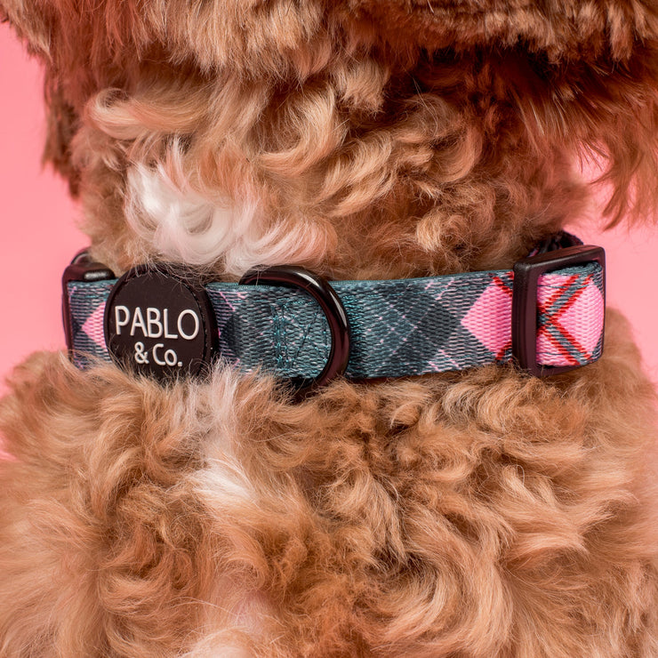 Patch's Plaid Dog Collar