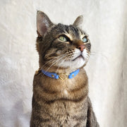 Cat Collar - Periwinkle