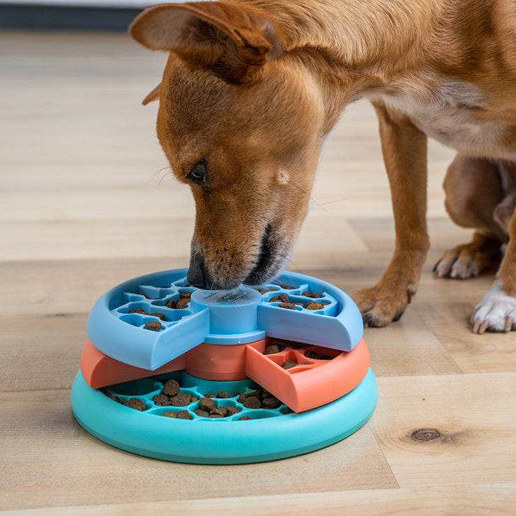 Puppy Lickin' Layers Puzzle & Feeder - LEVEL 2 (PUPPIES)