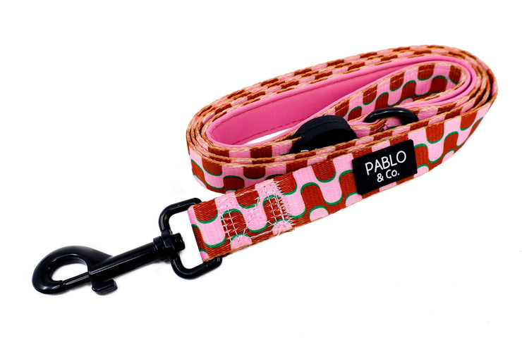 Mod Madness Dog Leash