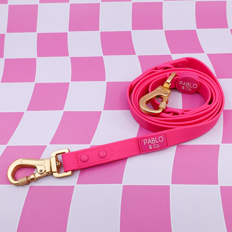 Multi-Functional Waterproof Leash - Dragonfruit