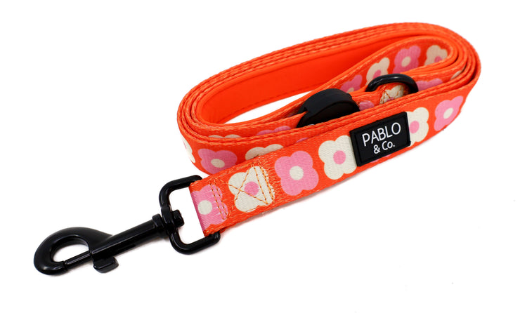 Pink Checkered Daisies Dog Leash