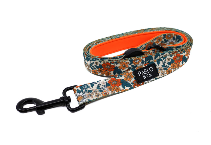 Wildflowers Dog Leash