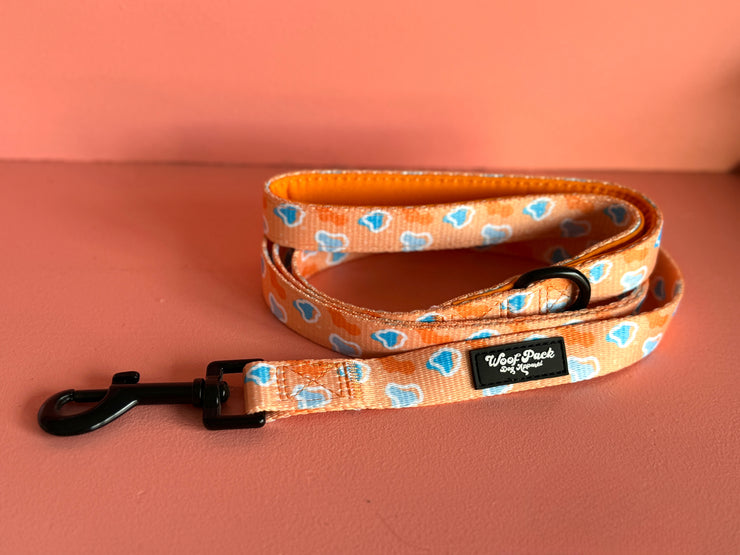 Blobby Orange Dog Leash