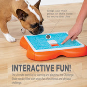 Challenge Slider Treat Dispensing Interactive Dog Game-  LEVEL 3