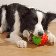 Fruity Treats Dog Enrichment Toy - Strawberry