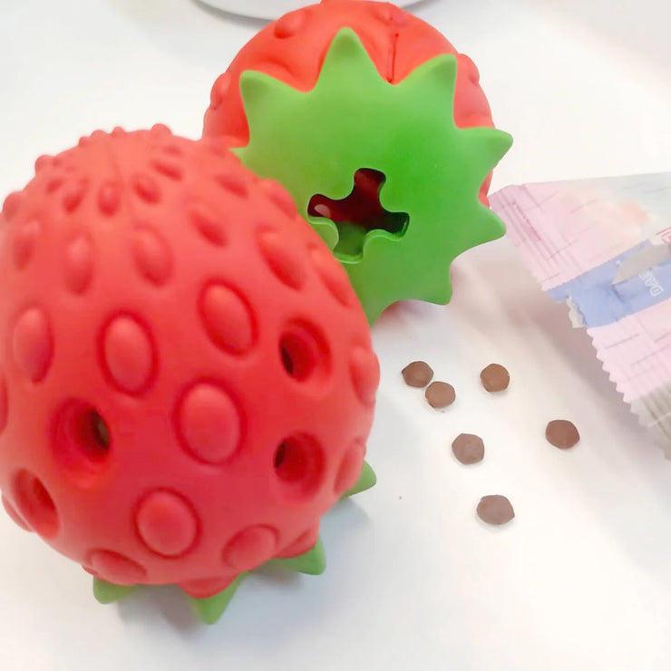 Fruity Treats Dog Enrichment Toy - Strawberry