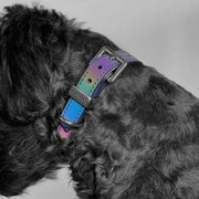 Wide Dog Collar - Galaxy