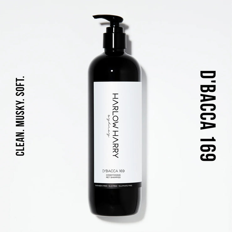 Conditioning Shampoo | D'bacca 169