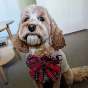 Red and Green Plaid Christmas Bow