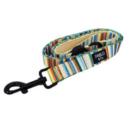 Cabana Striped Dog Leash