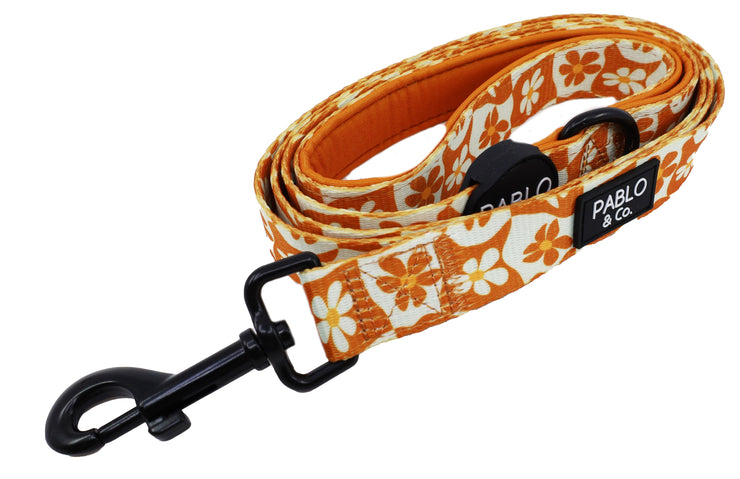 Retro Dazie Dog Leash