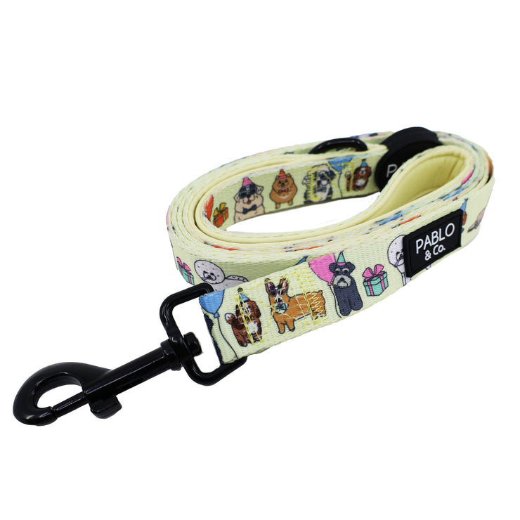 Party Dawgs Dog Leash