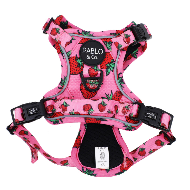 Strawberry No Pull Adventure Harness