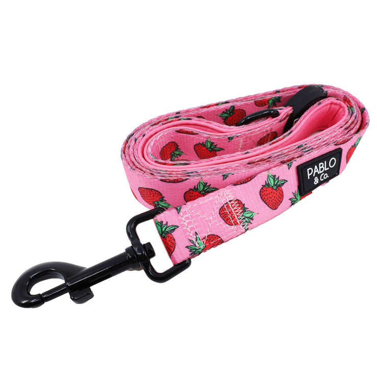 Strawberries Dog Leash