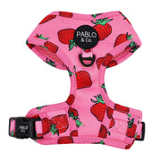 Strawberries Adjustable Harness