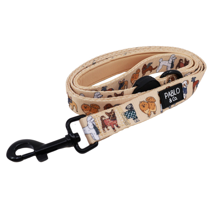 Winter Pooches Dog Leash