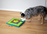 MultiPuzzle Dog Puzzle Treat Toy - LEVEL 4