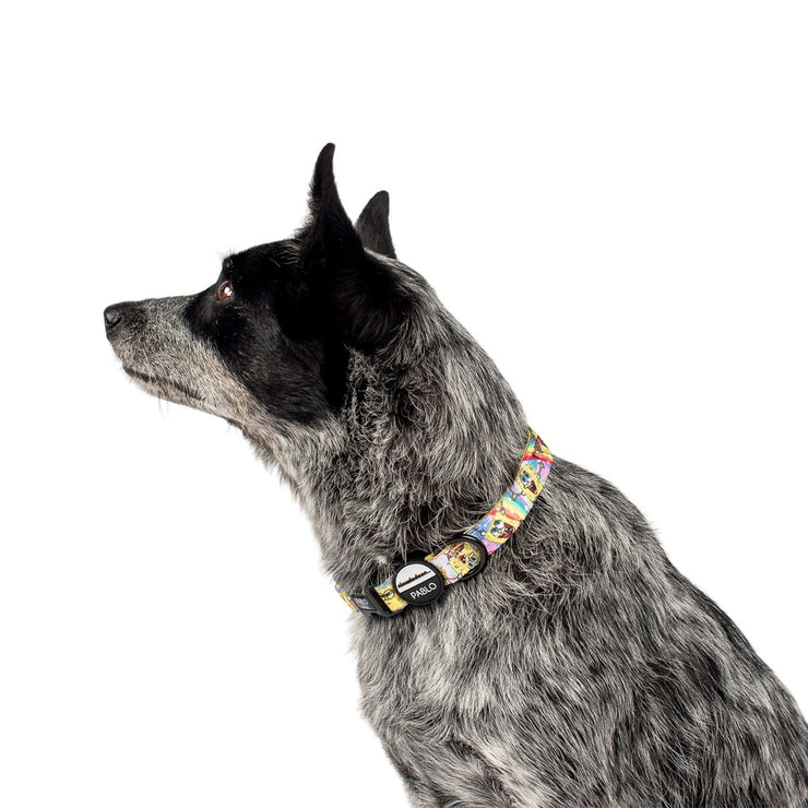 SpongeBob SquarePants Dog Collar