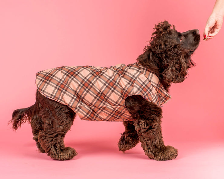 Winter Pooches Kensington Reversible Puffer Vest