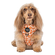 Retro Dazie Adjustable Dog Harness