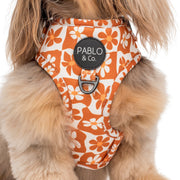 Retro Dazie Adjustable Dog Harness