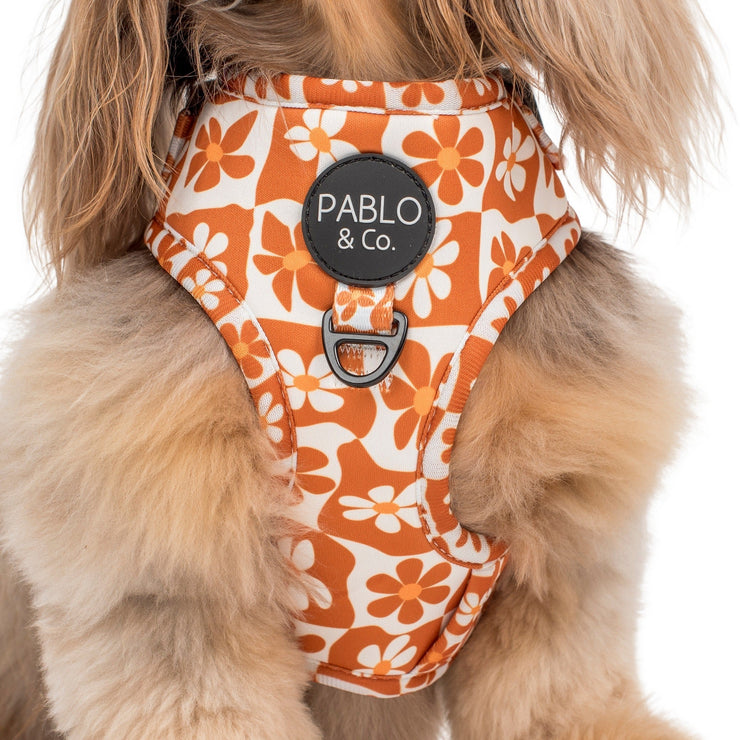 Retro Dazie Adjustable Dog Harness