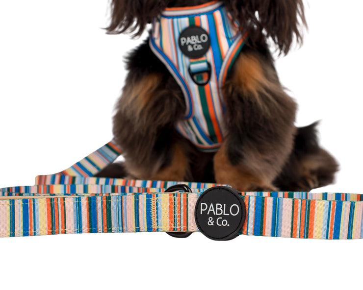 Cabana Striped Dog Leash