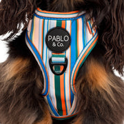 The Cabana Striped Adjustable Dog Harness