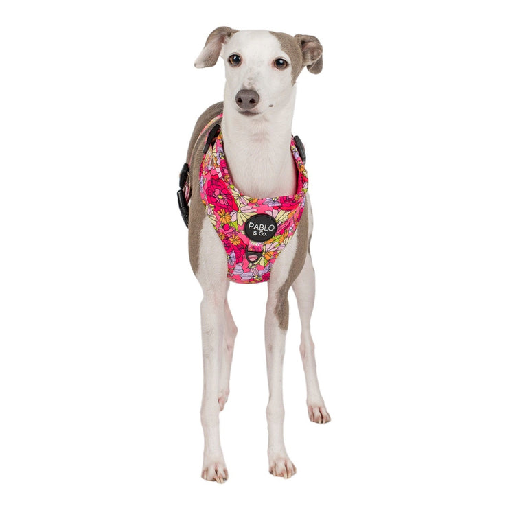 Flowers In Bloom Adjustable Harness