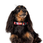 Seasame Street - Elmo - Dog Collar