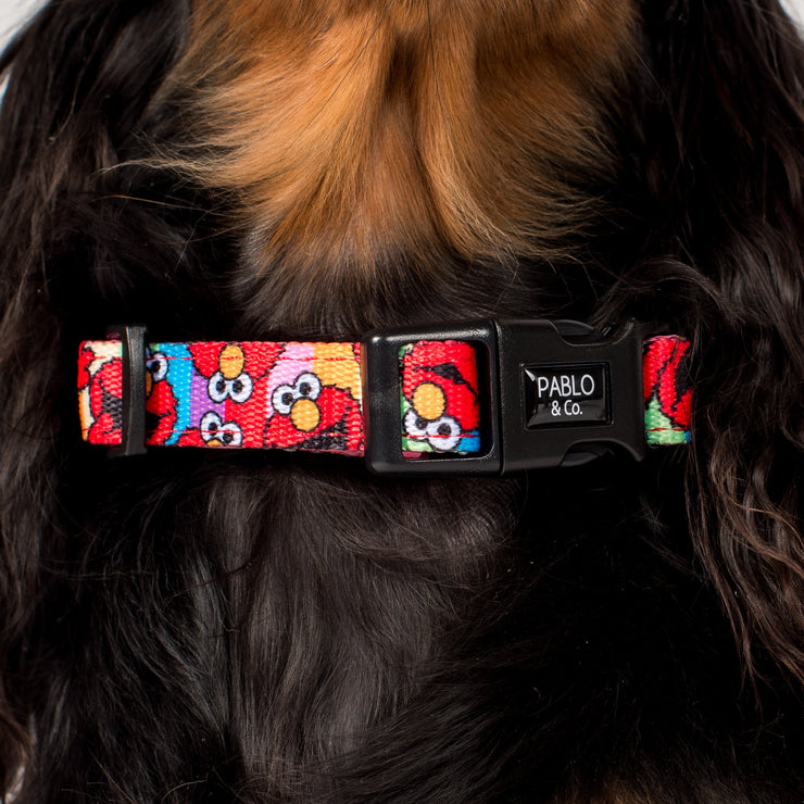 Seasame Street - Elmo - Dog Collar