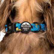 Seasame Street - Cookie Monster - Dog Collar