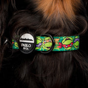 Teenage Mutant Ninja Turtles Dog Collar