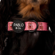 Teddies Dog Collar