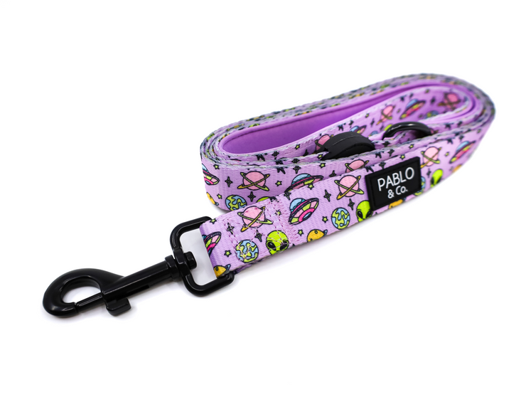 Out of the World Dog Leash