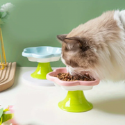 Ceramic Elevated Cat Bowl in Flower Shape