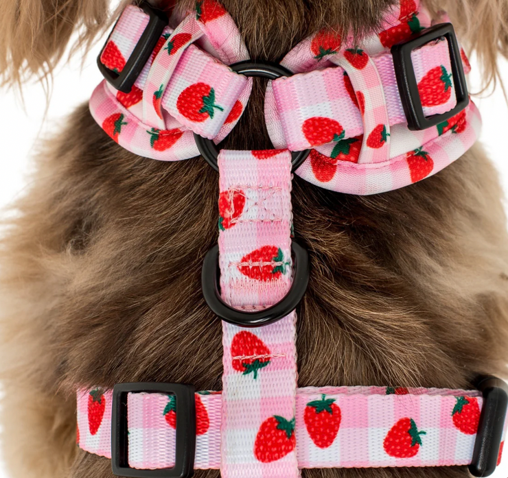 Strawberry Fields Adjustable Harness