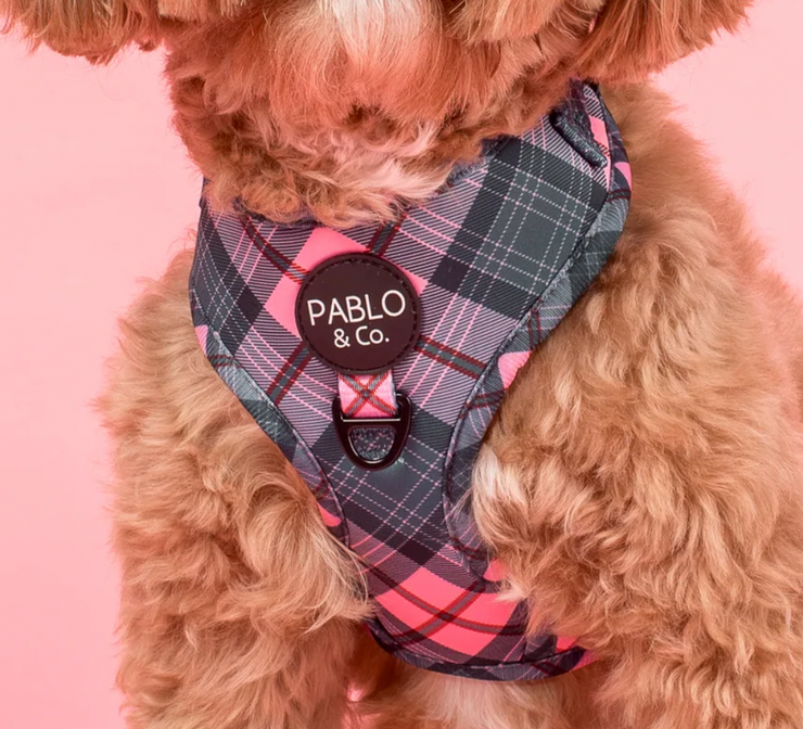 Patch's Plaid Adjustable Harness