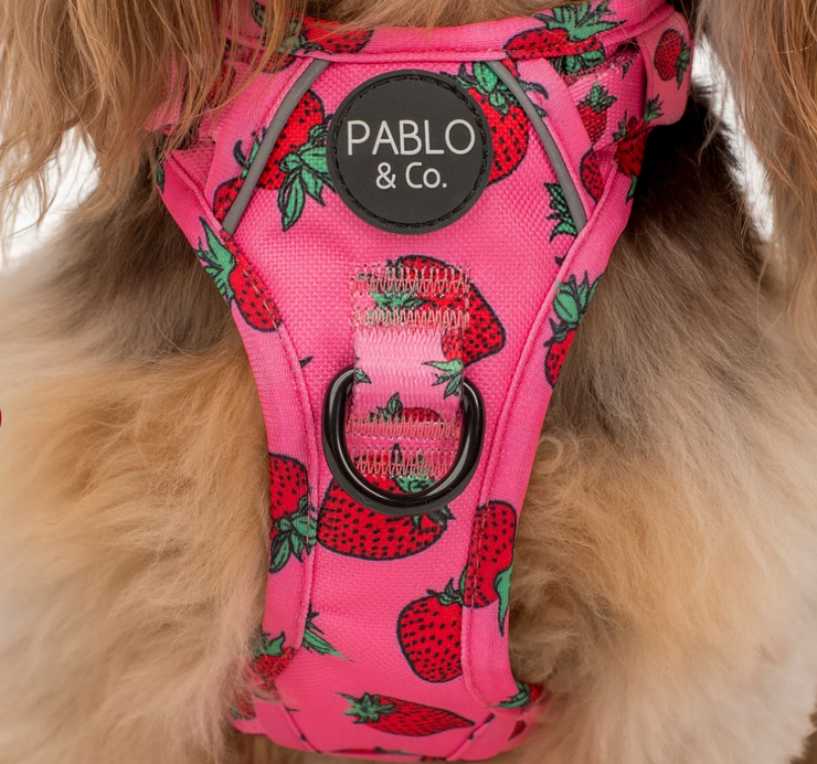 Strawberry No Pull Adventure Harness