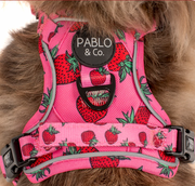 Strawberry No Pull Adventure Harness