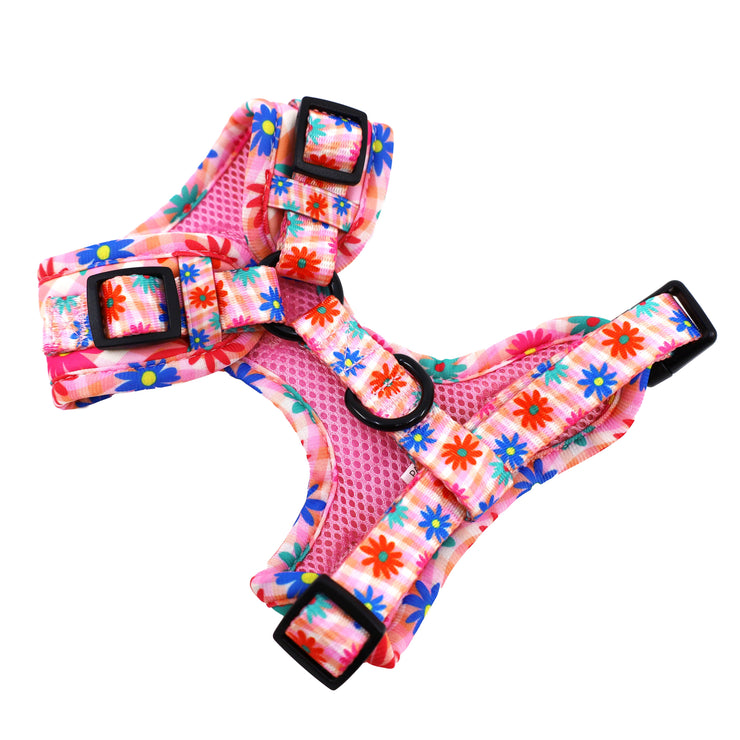 Blossom Adjustable Dog Harness